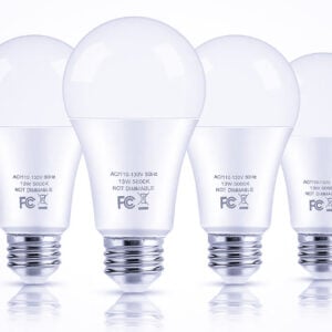 12 watt a19 lamp